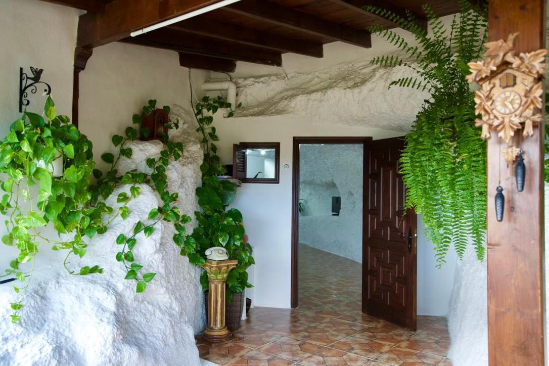 Casa vacanze Casa Cueva La Herencia